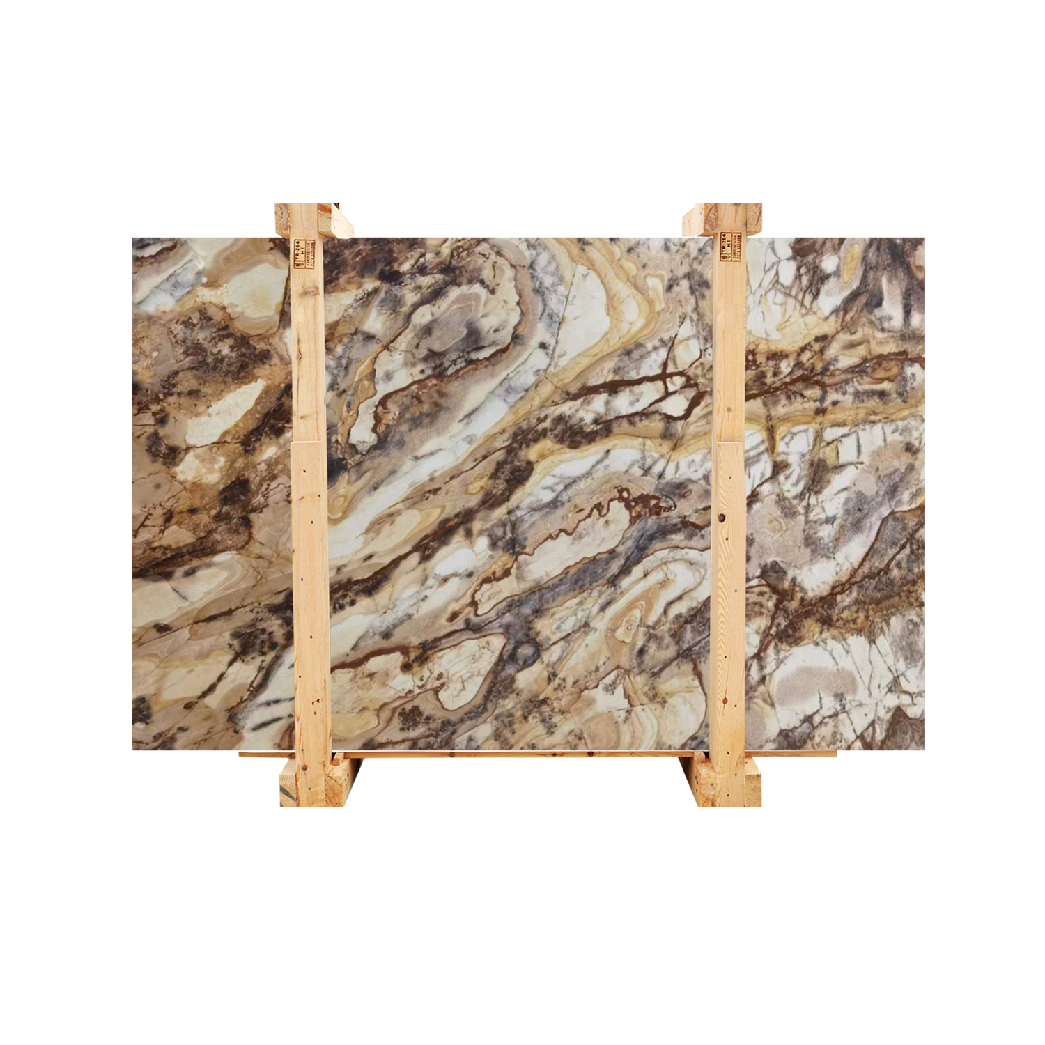 petrified wood marble - efesusstone mermer