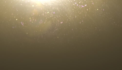 Why Am I Seeing Tiny Specks in My Windshield and Glass Window? - Glass.com