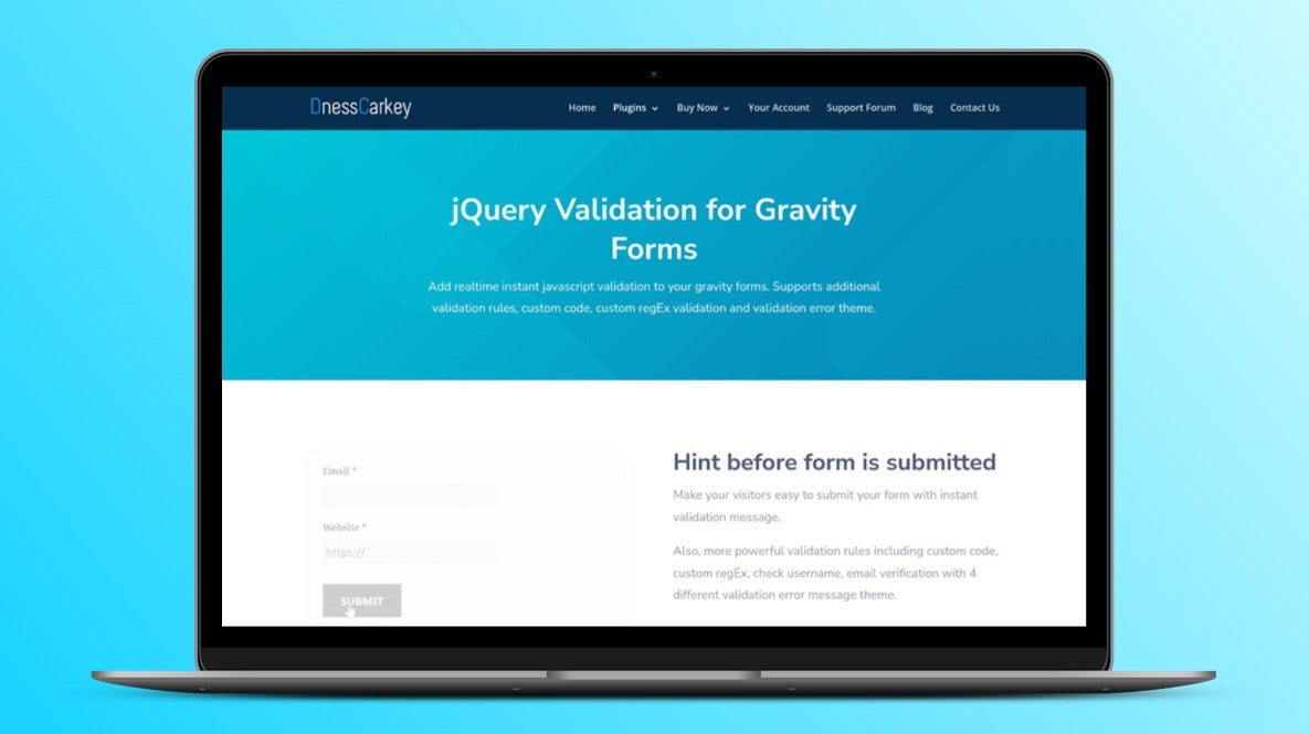 JQuery Validation For Gravity Forms Lifetime Deal