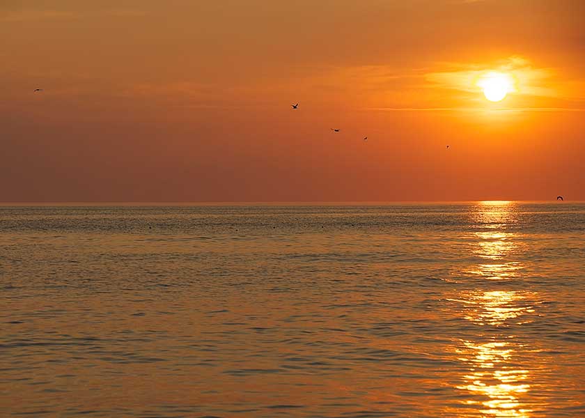 Solnedgang over Vesterhavet, mågerne er på vej mod land aften dagens jagt på føde i havet