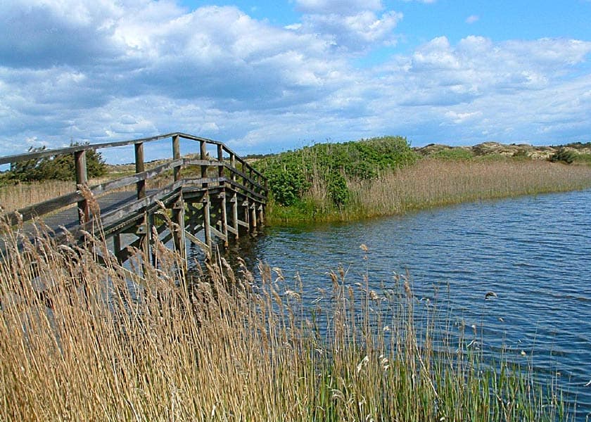 Den gamle bro ved gammelgab, mellem Nymindegab og havet, ligger smukt i den forunderlige landskab
