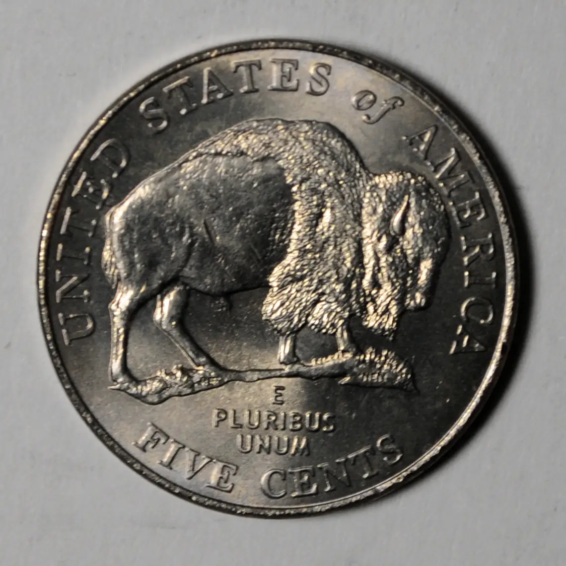 2005P Nickel American Bison rev