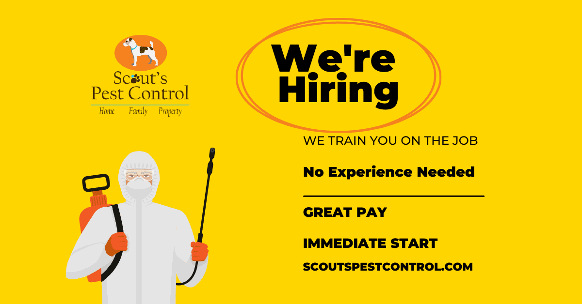 Hiring In Greenville SC Pest Control Technician