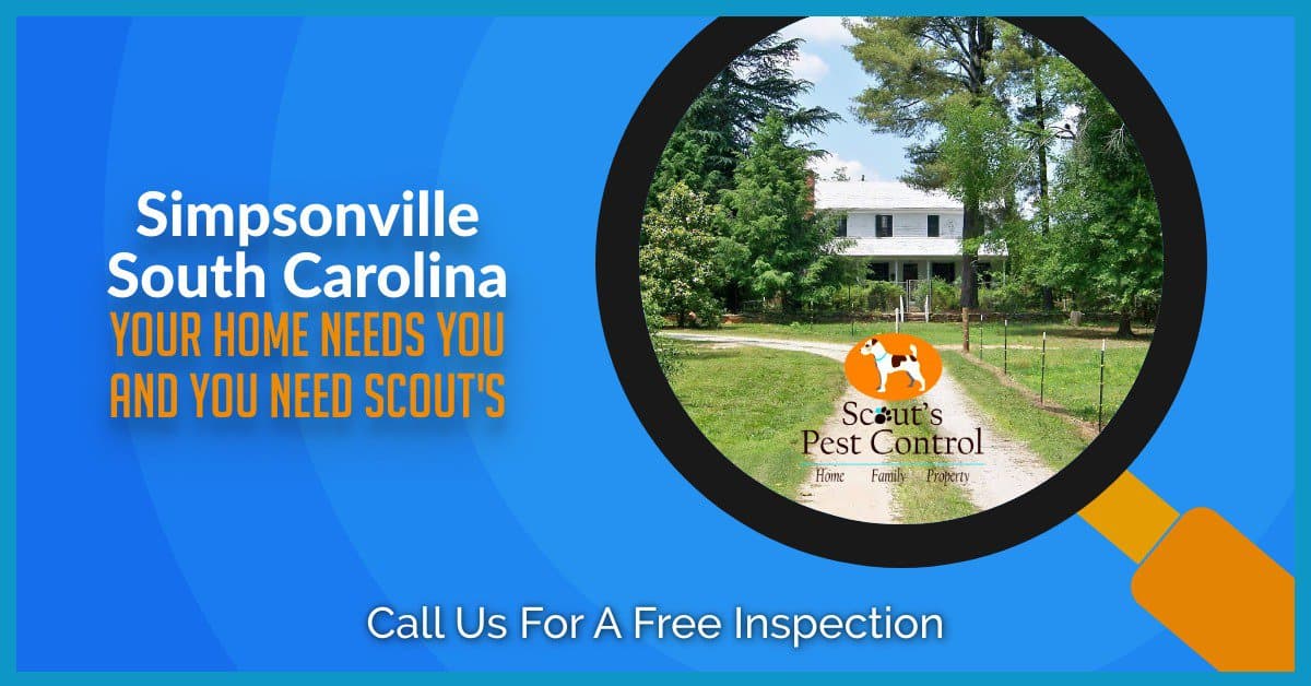 Service Areas Scout's Pest Control
