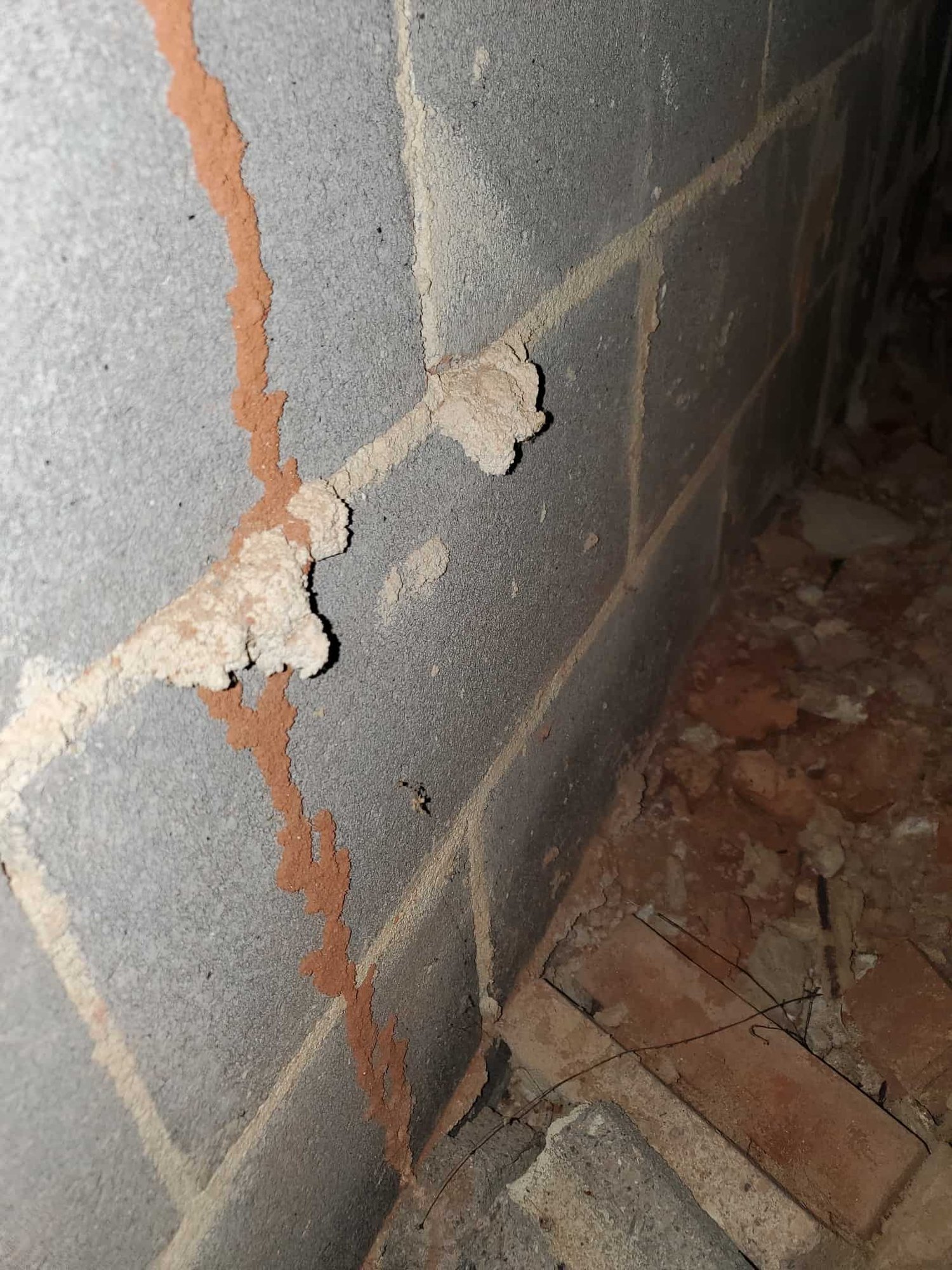 Scouts Pest Control Greenville SC