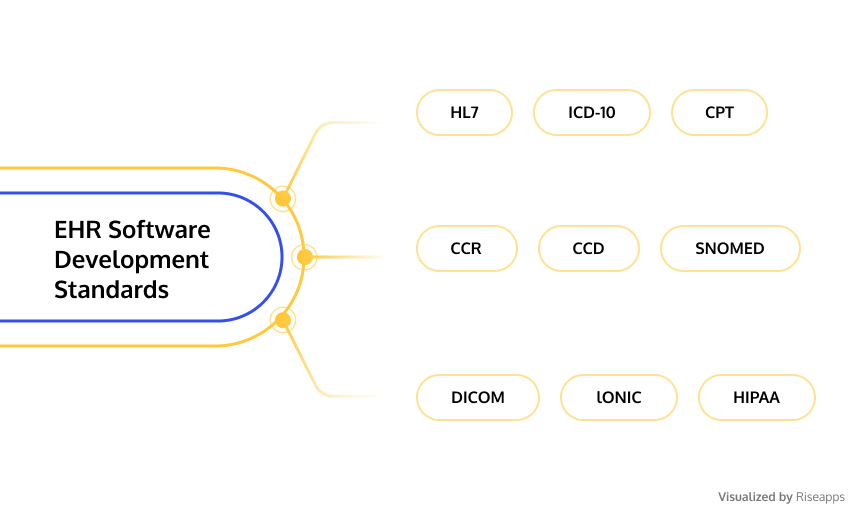 How to Create an EHR System in 2024: EHR Software Development Guide