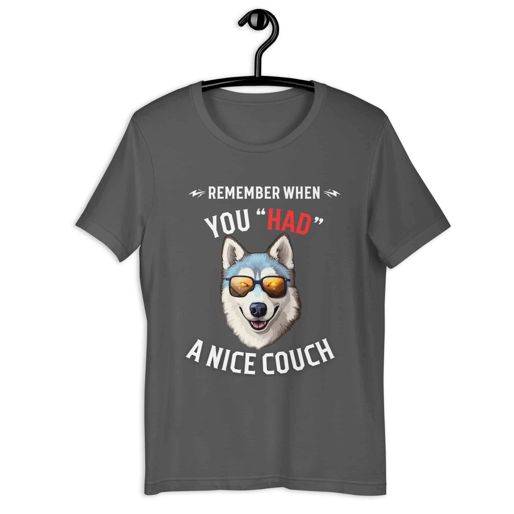 "Remember When You Had A Nice Couch" Husky Unisex T-Shirt gray