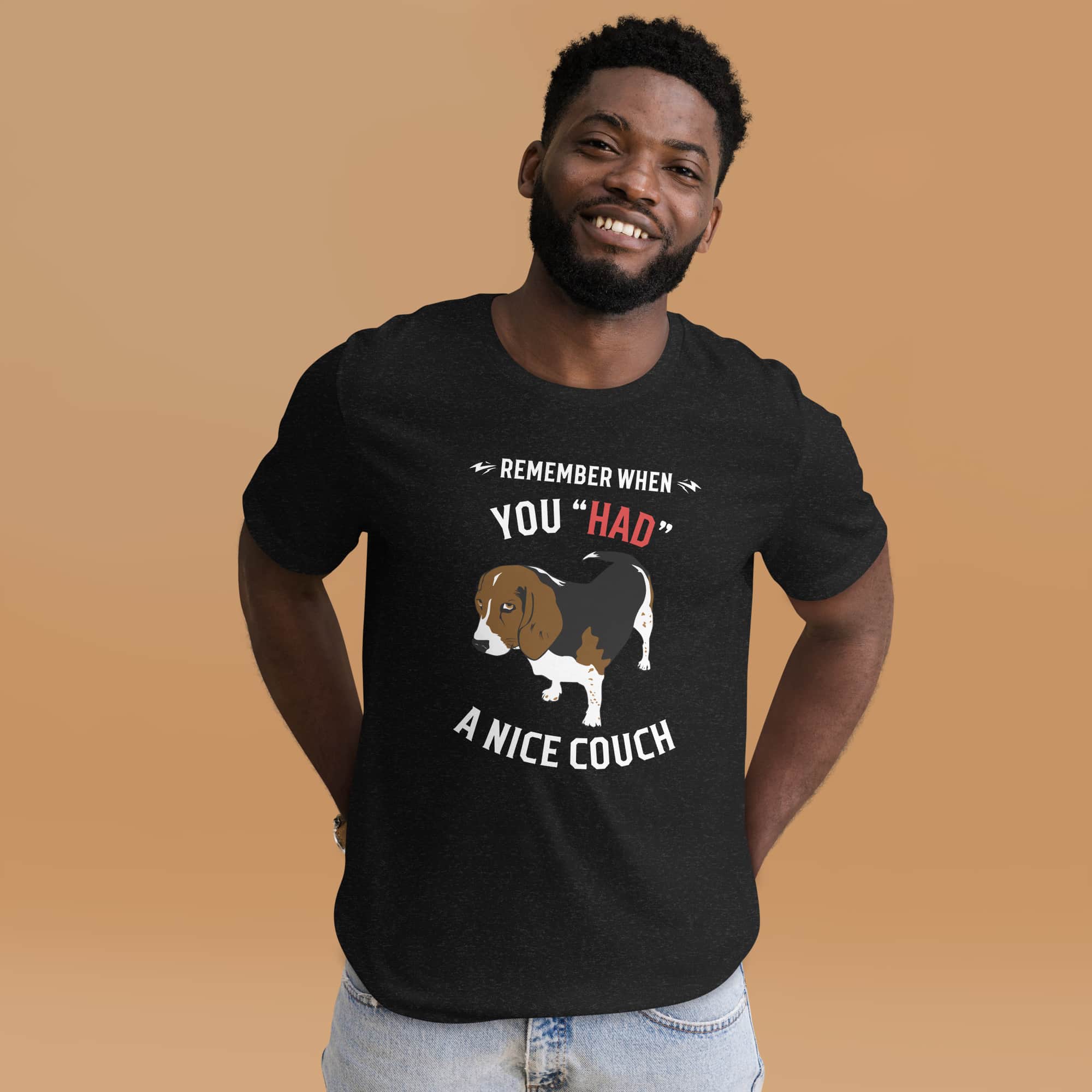 "Remember When You Had A Nice Couch" Funny Hound Unisex T-Shirt male t