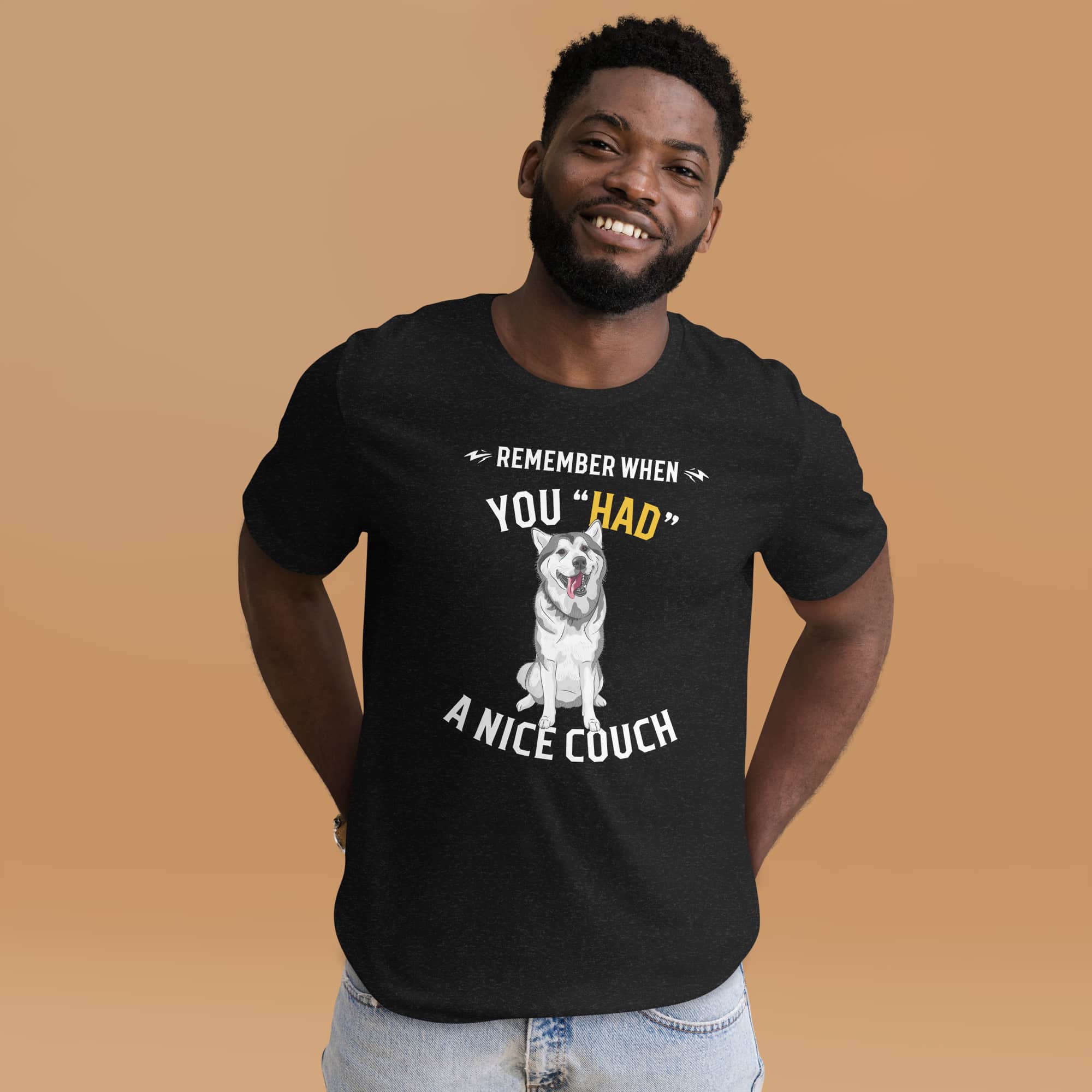 "Remember When You Had A Nice Couch" Funny Huskies Unisex T-Shirt male t