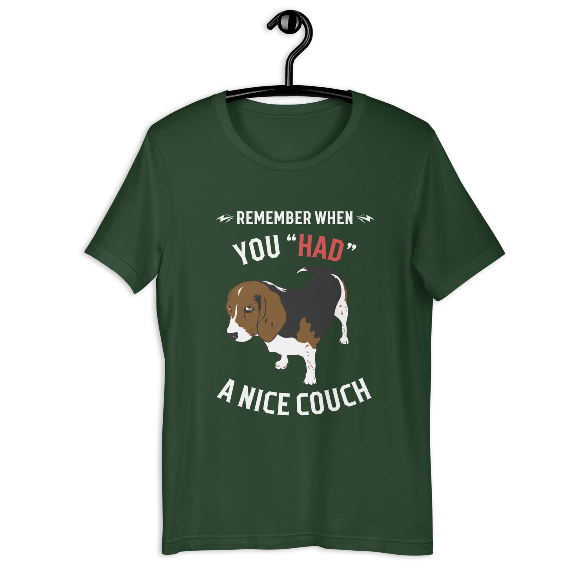 "Remember When You Had A Nice Couch" Funny Hound Unisex T-Shirt green