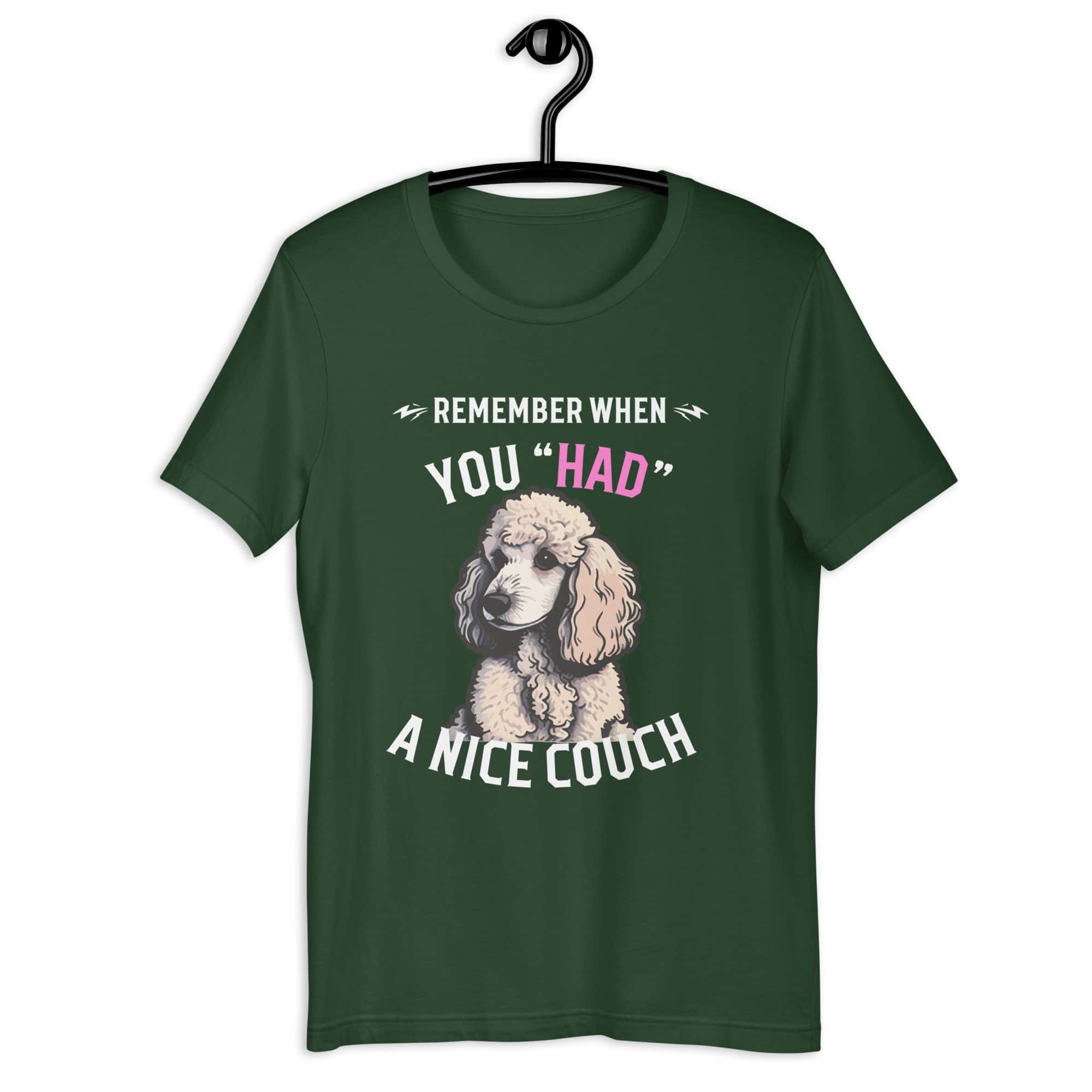 "Remember When You Had A Nice Couch" Funny Poodle Unisex T-Shirt green
