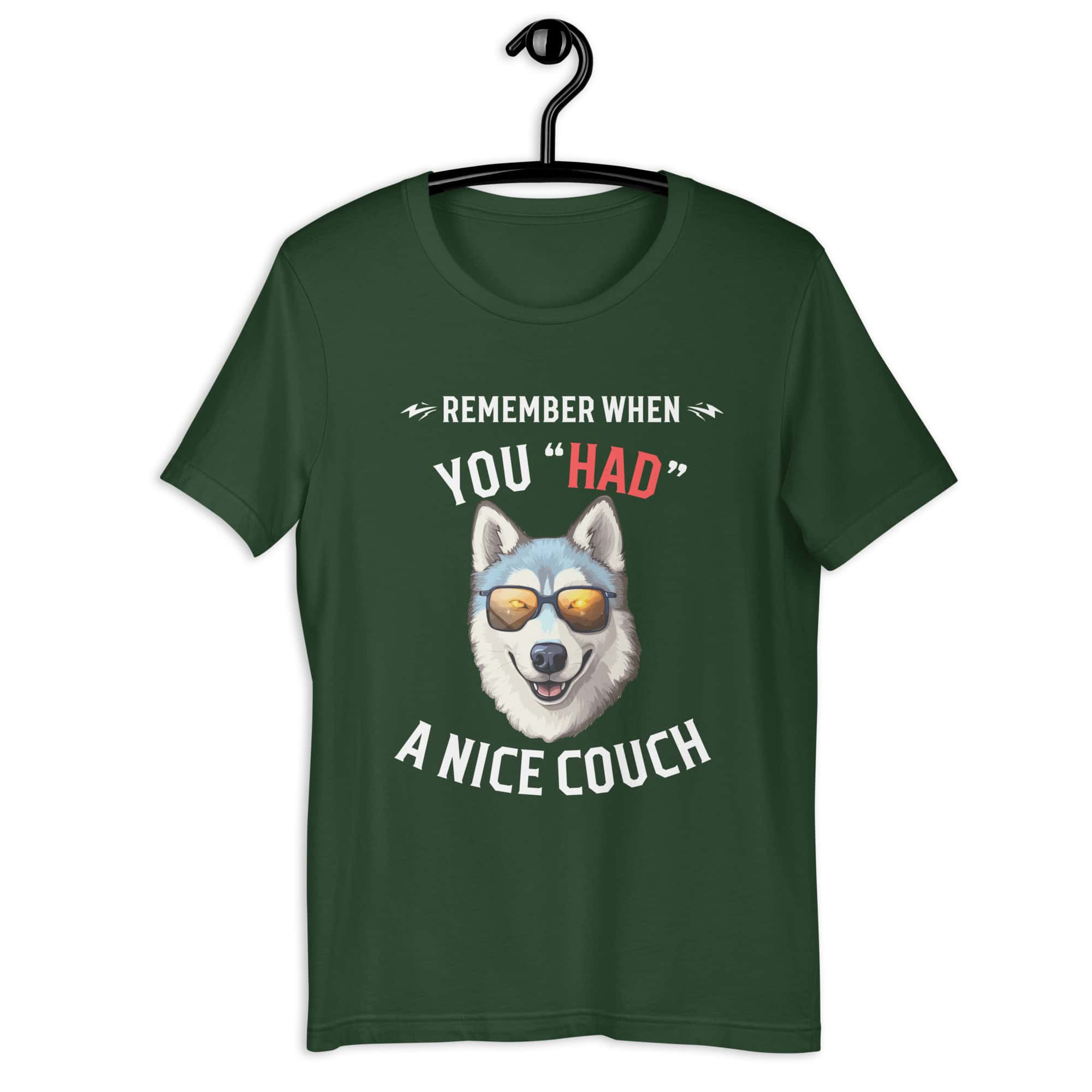 "Remember When You Had A Nice Couch" Husky Unisex T-Shirt green