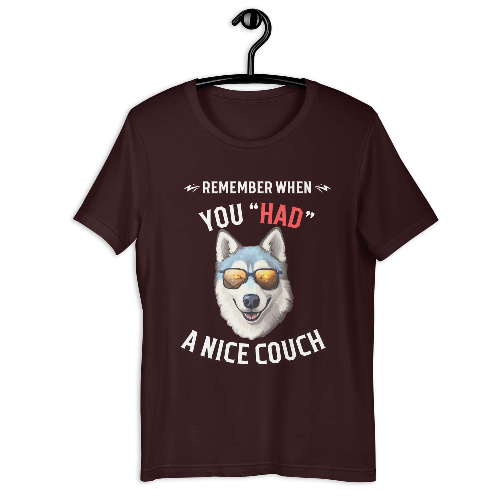 "Remember When You Had A Nice Couch" Husky Unisex T-Shirt brown