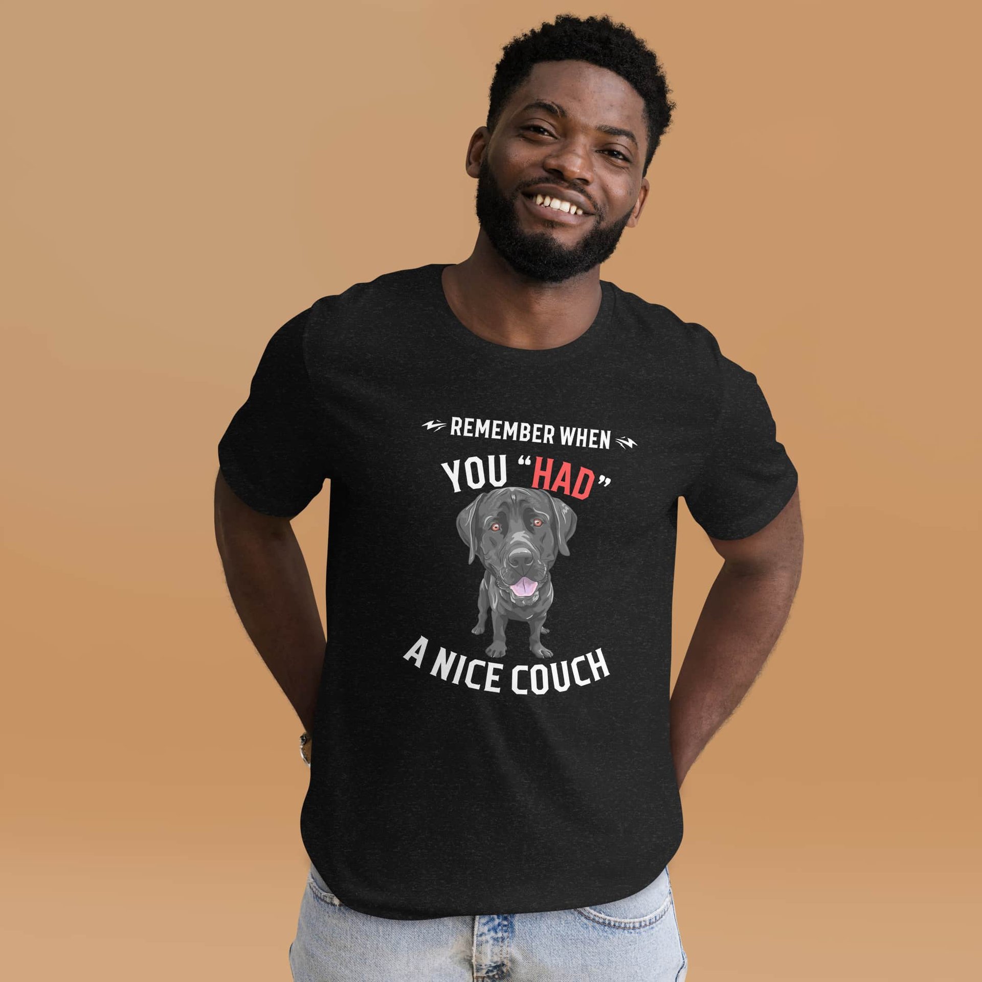 "Remember When You Had A Nice Couch" Funny Labrador Retriever Unisex T-Shirt male t