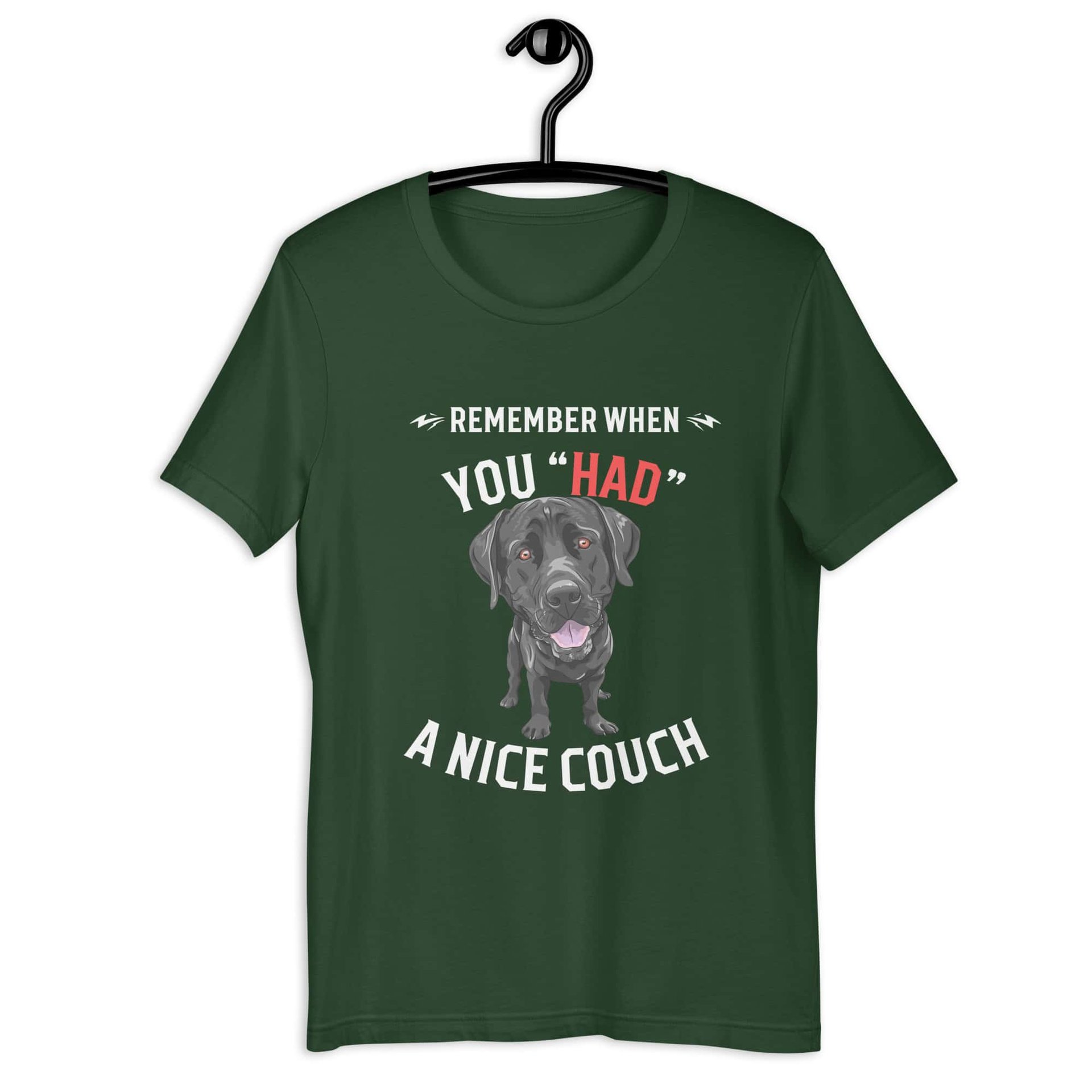 "Remember When You Had A Nice Couch" Funny Labrador Retriever Unisex T-Shirt green