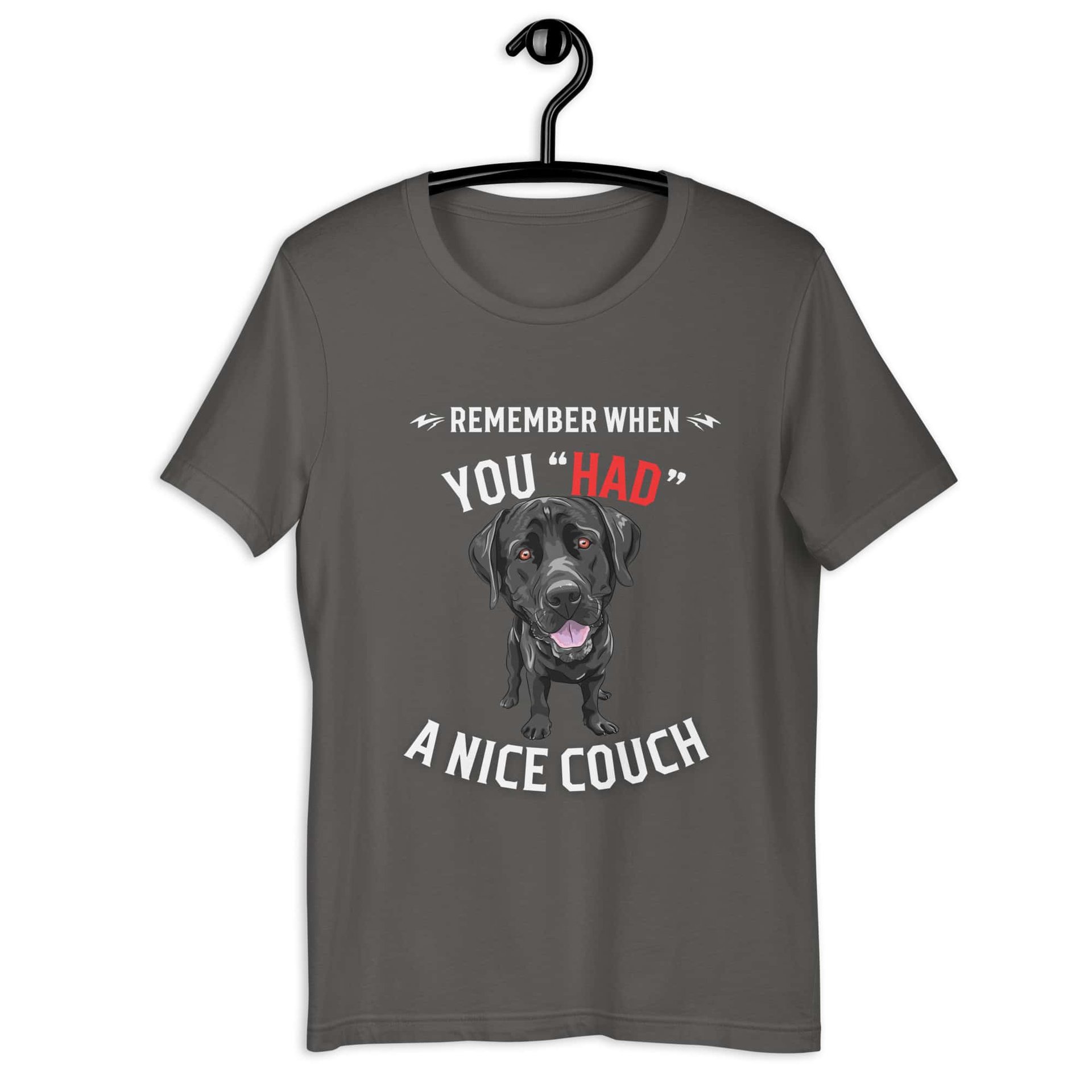 "Remember When You Had A Nice Couch" Funny Labrador Retriever Unisex T-Shirt gray