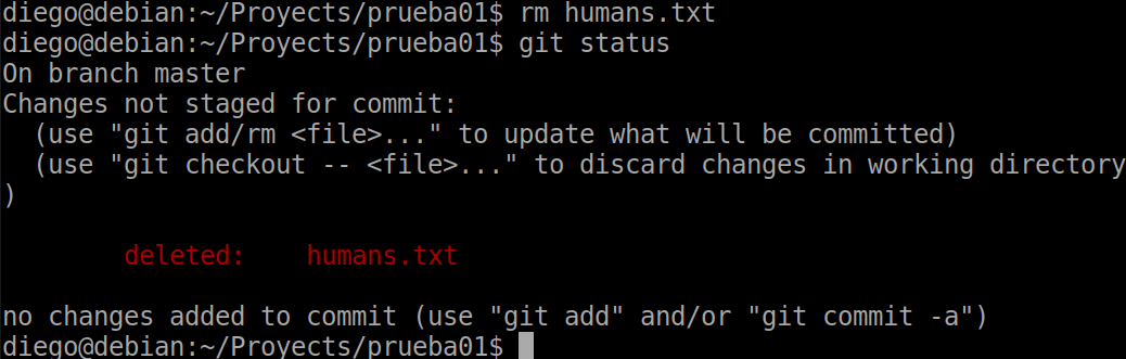 20 git status after manual removal