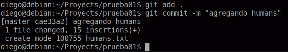 19 git add and commit after removal via git