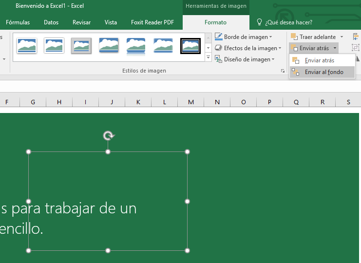 Imagen enviada al fondo en Excel