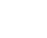 Icon Prime VIP