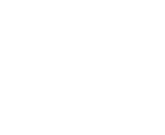 Icon Pedestrian