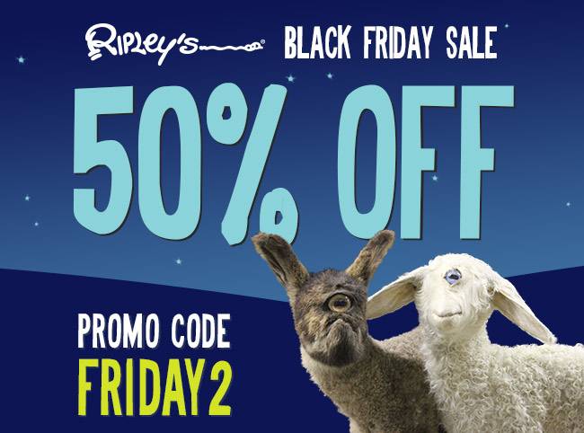 A black friday sale with two sheep and the words 50 % off.