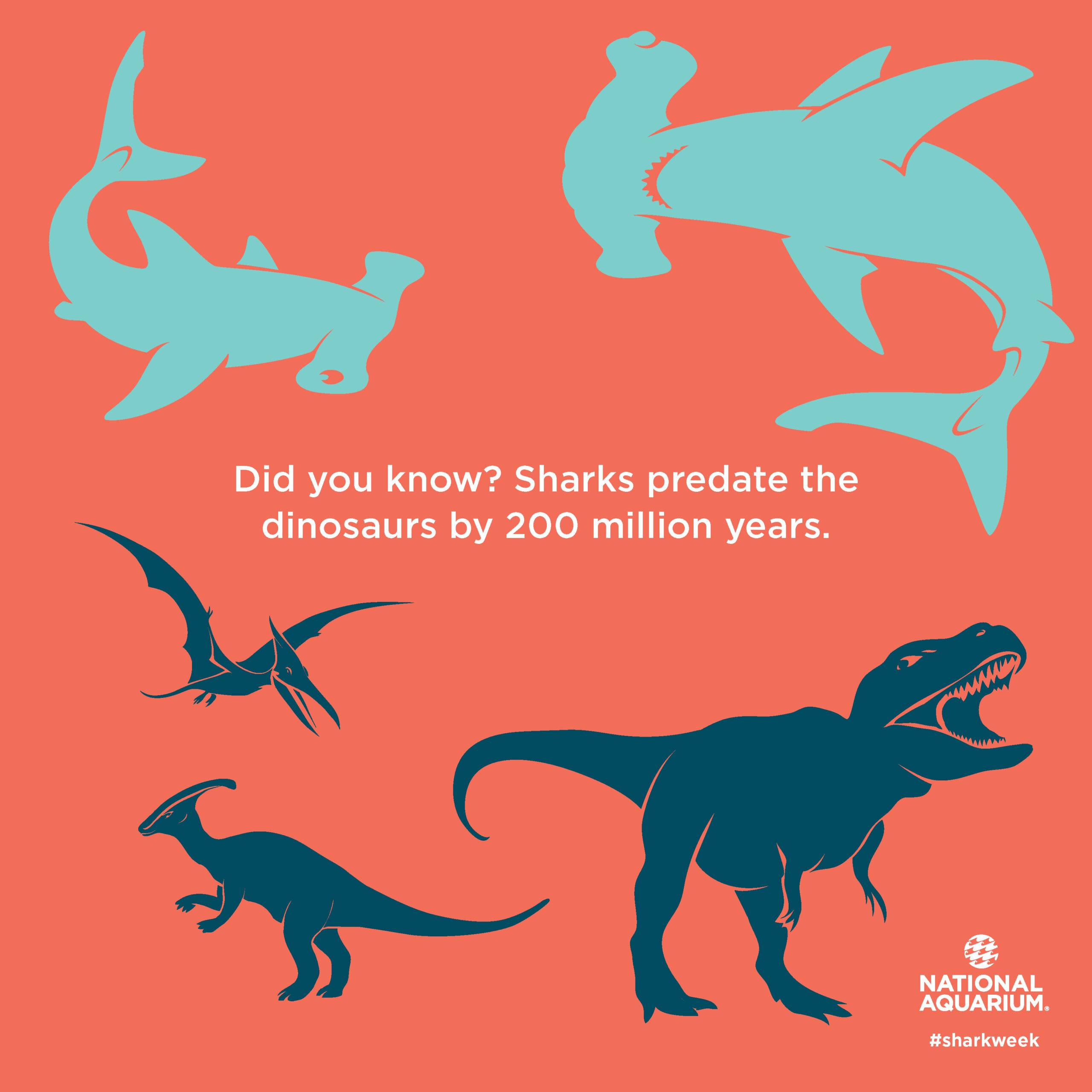 Did you know sharks predate the dinosaurs by 200 million years?.