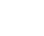 Icon handicap