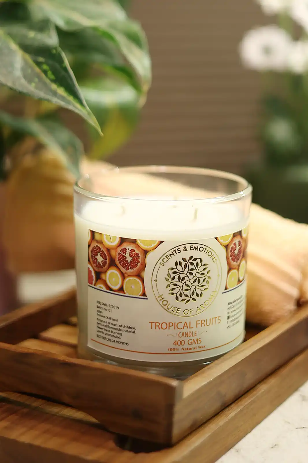 Natural Wax Tropical Fruits 3 Wick Candle, 3 wick candles india, 3 wick candle vanilla, 3 wick candle jars with lids, 3 wick candle container, 3 wick candle jar holder, jar scented candles, fruit fragrance jar candle, fruit flavored natural candle, fruit fragrance candle, fruit fragrance perfume, fragrance candle set, fragrance candle gift set, fruit scented candles, fruity candle scent, fruit fragrance candles,essential oil candles, essential oil for scented candles, essential oil beeswax candles, essential oil blends candles, essential oil candles non toxic, vegan essential oil candles, essential oil organic candles, pure essential oil candles, House of Aroma, home decor candle, room decor candles, scented candles decoration, best candles for home decor, scented candles for home decor, room decor with candles, decorating homemade candles, home decor scented candles, natural scented candles, natural scents for candles, organic scented candles India, luxury scented candles India, natural soy candle wax, natural fragrance for candles, natural soy candle company, best scented candles India, scented candles for bedroom, organic, scented candles India, most fragrant scented candles, glass jar candles, bell jar candles, bell jar candle, bell jar candle India, essential oil wax candle, soy wax essential oil candles, essential oil wax candles, natural scented candle brands, scented candles best brand, candle brands in India, organic scented candles India, best scented candle brands in India, top candle brands in India, best candle brands in the world, bedroom candles, room fragrance candles, best bedroom candles, best room scented candles, room freshener candles, beeswax candles, beeswax candles scented, beeswax candles jar
