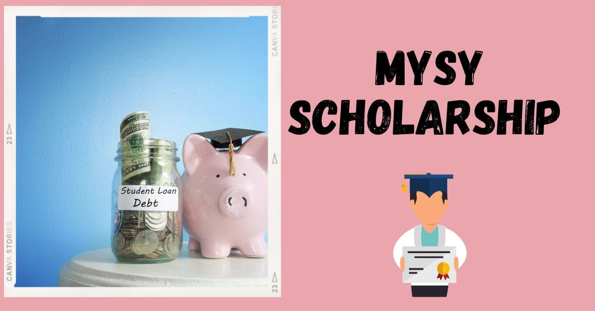 MYSY Scholarship 2024 Online Registration, Applcation Status